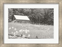 Summer Farm I BW Fine Art Print