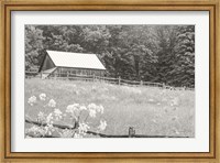 Summer Farm I BW Fine Art Print