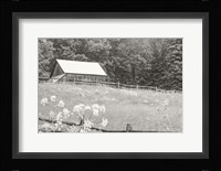 Summer Farm I BW Fine Art Print