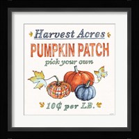 Fall Flair V Framed Print