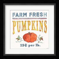 Fall Flair IV Framed Print