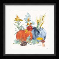Fall Flair II Framed Print