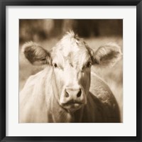 Pasture Cow Sepia Sq Fine Art Print