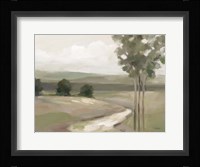 Olive Trees Fine Art Print