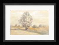 Muted Light Fine Art Print