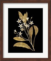 Gold Botanical V on Black Fine Art Print