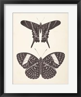 Papillons II Neutral Fine Art Print