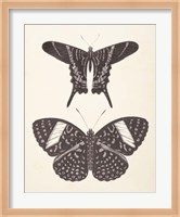 Papillons II Neutral Fine Art Print