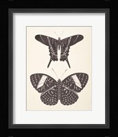 Papillons II Neutral Framed Print