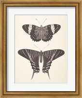 Papillons I Neutral Fine Art Print