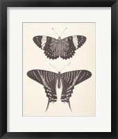 Papillons I Neutral Framed Print