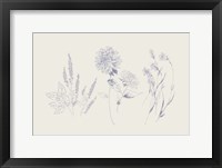 Flowers on White VIII Blue Framed Print