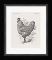 Vintage Farm Life III Framed Print