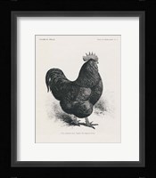 Vintage Farm Life II Framed Print
