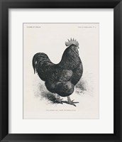 Vintage Farm Life II Framed Print