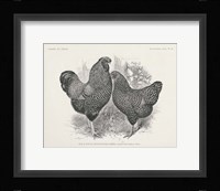 Vintage Farm Life I Framed Print