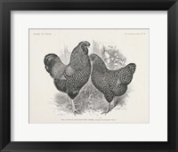 Vintage Farm Life I Framed Print