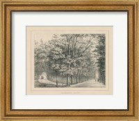 French Park Etching II Fine Art Print