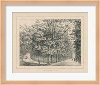 French Park Etching II Fine Art Print