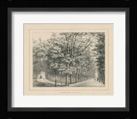 French Park Etching II Framed Print