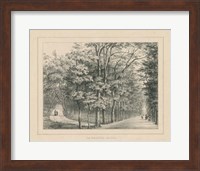 French Park Etching II Fine Art Print