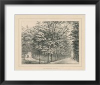 French Park Etching II Framed Print