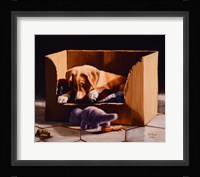 Playful Fine Art Print