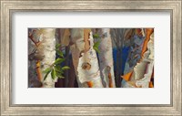 Birch Family Fine Art Print