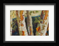 Birch Forest Fine Art Print