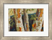 Birch Forest Fine Art Print