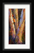 Birch Trio Fine Art Print