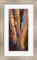 Birch Trio Fine Art Print