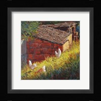 Chickens Fine Art Print