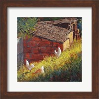 Chickens Fine Art Print