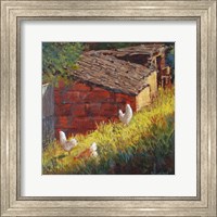 Chickens Fine Art Print