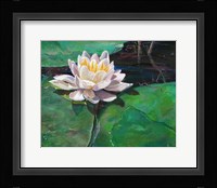 Lily Fine Art Print
