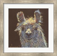 Llama 1 Fine Art Print