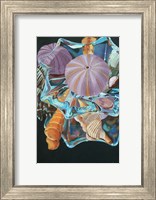 Ocean Jewels Fine Art Print