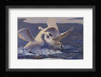 Winter Play Fine Art Print