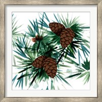 Christmas Hinterland II-Pine Cones Fine Art Print