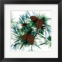 Christmas Hinterland II-Pine Cones Fine Art Print