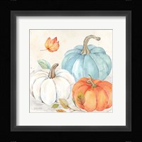 Pumpkin Patch I Framed Print