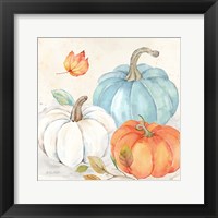 Pumpkin Patch I Framed Print