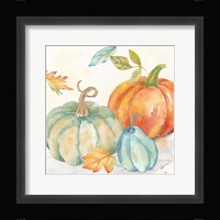 Pumpkin Patch II Framed Print