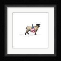 All American Farmhouse on White VI Framed Print