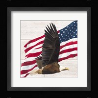 Let Freedom Soar V Fine Art Print
