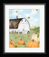 Fall Sunshine II Framed Print
