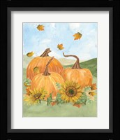 Fall Sunshine III Framed Print