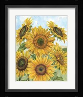 Fall Sunshine V Framed Print