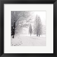Let it Snow II BW No Words Fine Art Print